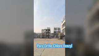 कारखाने का ऑर्थो क्लोरो बेंजाइल क्लोराइड
